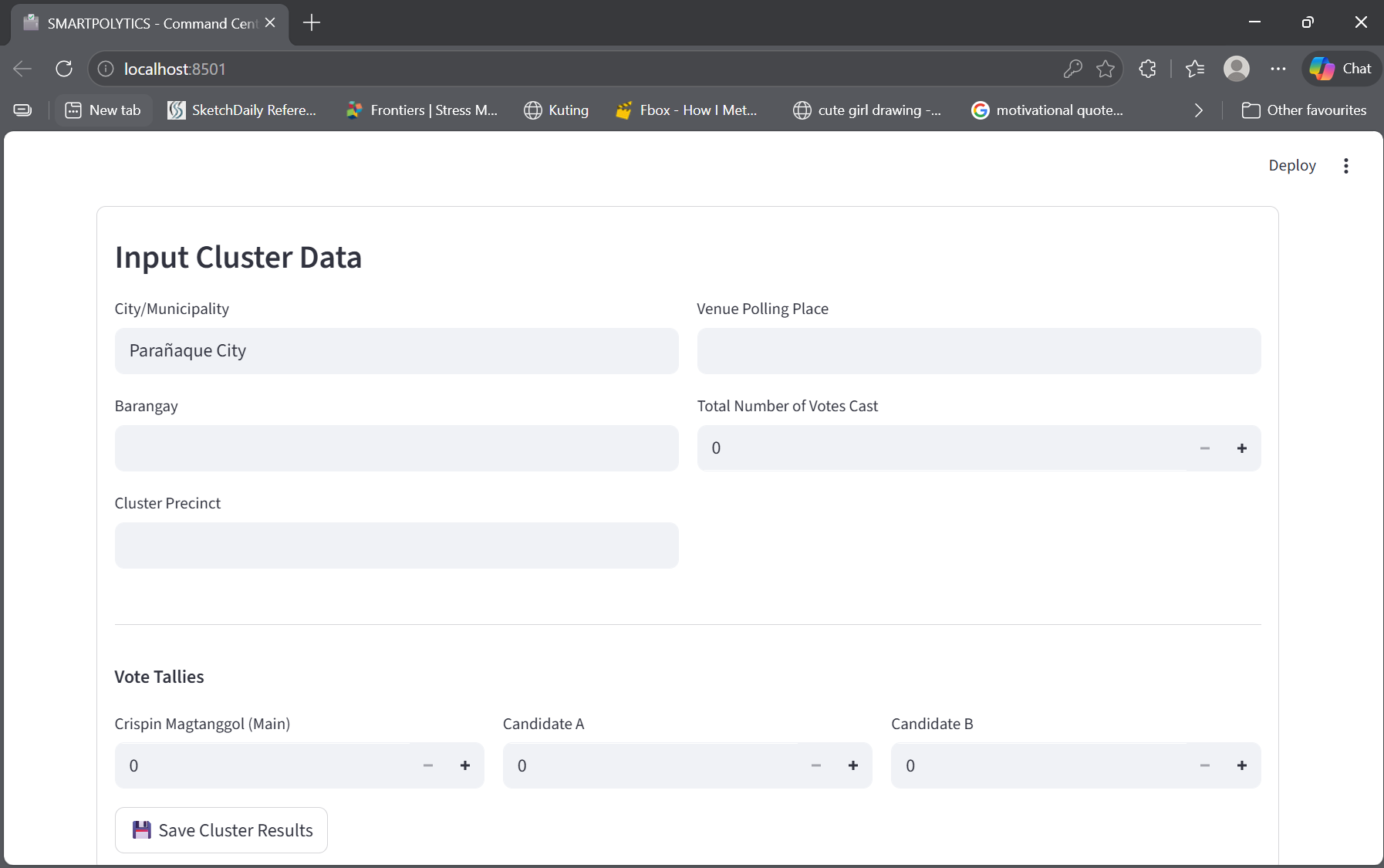 Precinct Cluster Data View